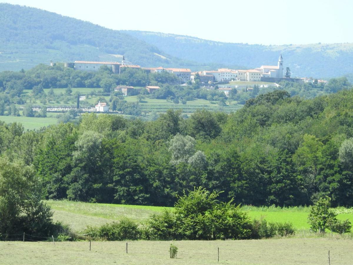 Turisticna Kmetija Pri Rebkovih Apartamento Ajdovščina Exterior foto